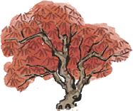 https://img2.tapimg.com/bbcode/images/ce3c499a1e54c2d93643de7443bd7aef.png