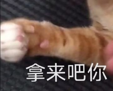 【有奖活动】购物不如打牌！助力每一个牌手变强的梦想！