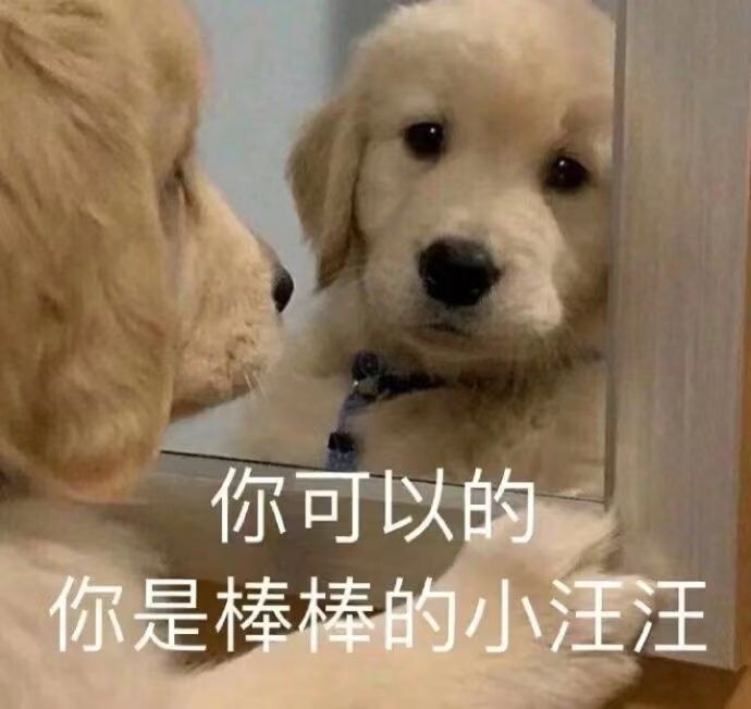 萌新想找到组织!截图