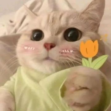 【周礼包码】给你的🎁如约而至