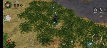 最好肝的食物和食物配方持续更新中