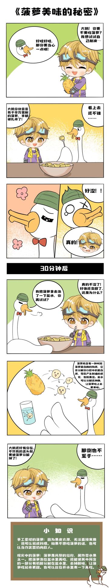 大鹅小课堂 ｜ 要想吃甜甜的菠萝，你需要做这些准备……