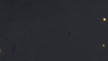 【小新闻】德语官推 发布预告视频