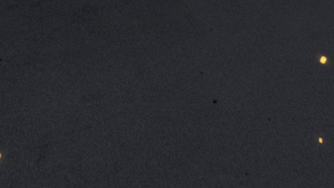 【小新闻】德语官推 发布预告视频截图