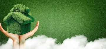 【03-06】植树节活动