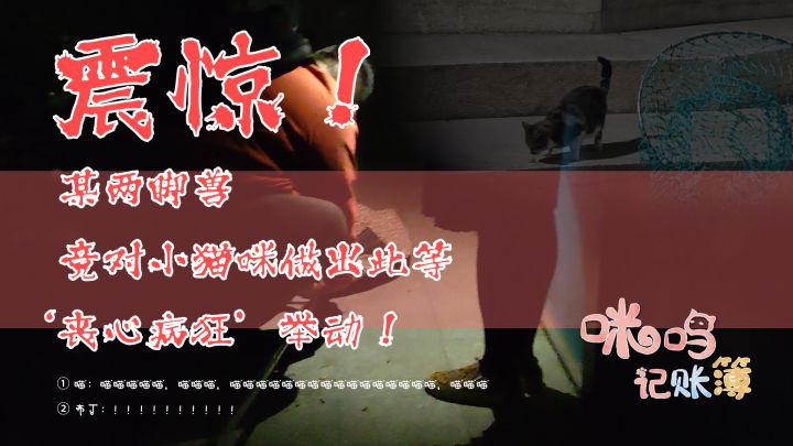 第三期<咪呜爱心公益>：住手，放开那只小猫咪！截图
