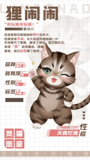 【灵猫图鉴】★ 良 ★顽皮小可爱-狸闹闹