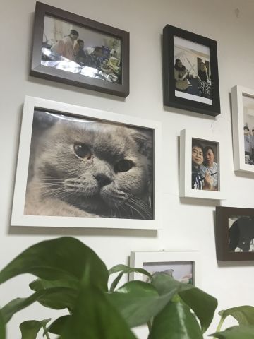 咕噜：为了大家玩得更开心 主子们在加班中迎接2018