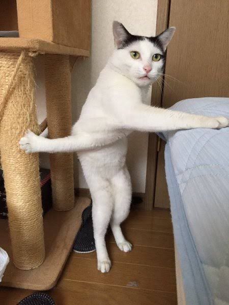出张时的我截图