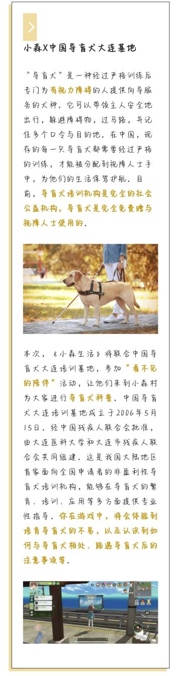 不一样的狗狗版本，《小森生活》x导盲犬公益