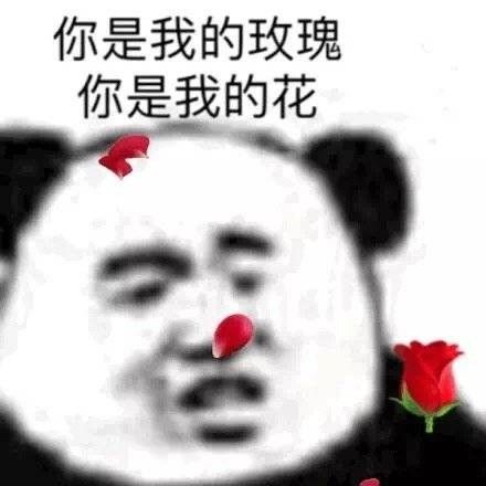小程序可以和APP互通咩？截图