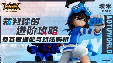 裁判球的进阶攻略：埃米篇