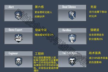 使命召唤手游芯片技能翻译