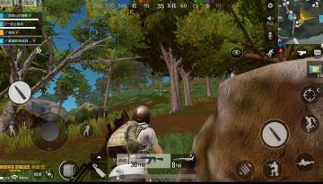 【出击加油站】偷袭与突袭不可或缺 丛林战术面面观