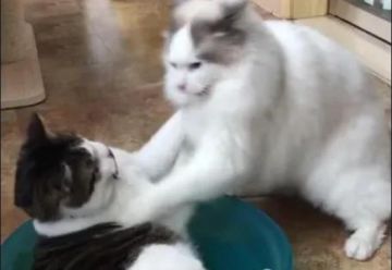 【已开奖】小曹策划的端午活动来啦~