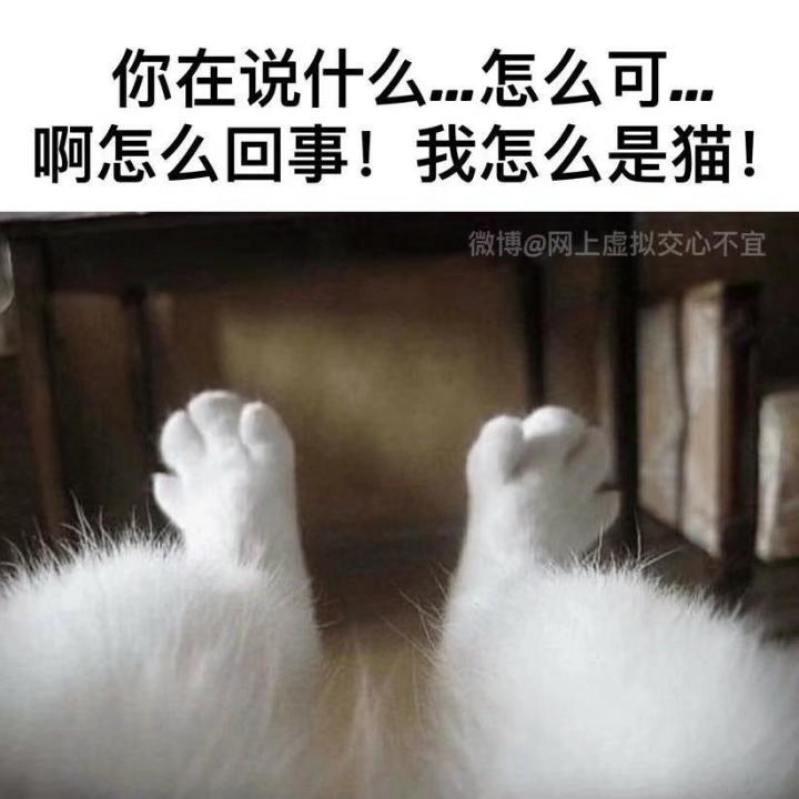 谢谢，有被孝到截图