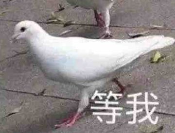 新的传说秘境，明日开启🔛