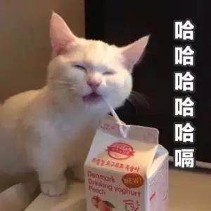 iPhone的各位，久等了～