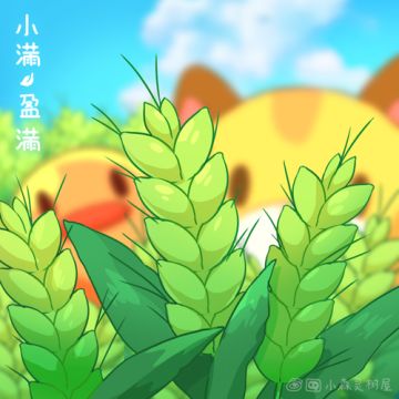 小森灵 | 今日小满