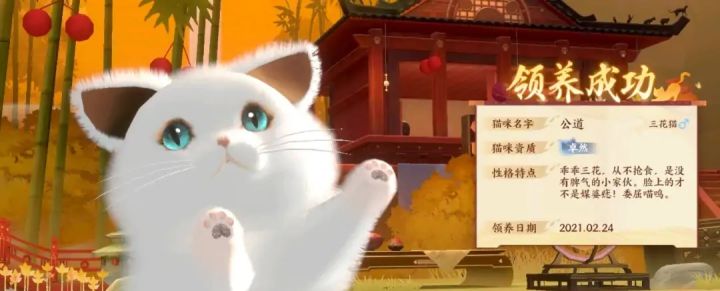 云养猫,美滋滋~截图