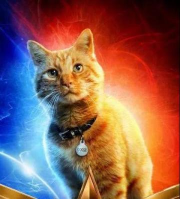 噬元兽为何如此凶残？在宠物系统中，你也许能找到答案