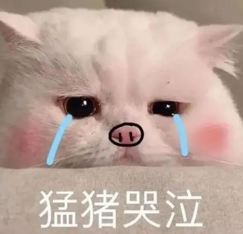 工具人太惨了截图