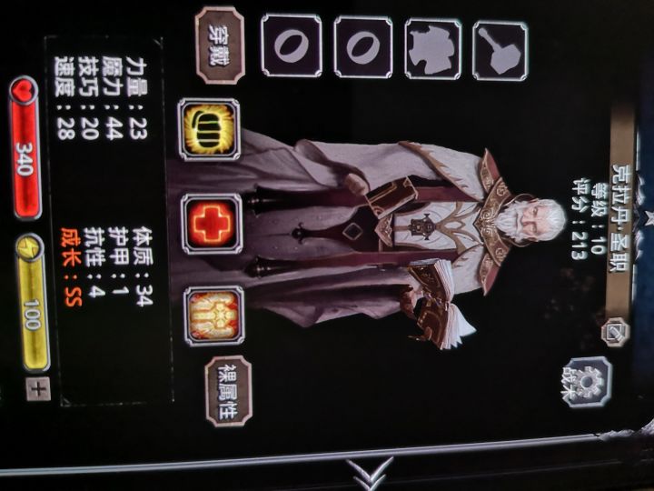 萌新请教,以下圣职哪些可以培养,如何规划转职?截图