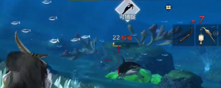 妄想山海鲨鱼在哪抓截图