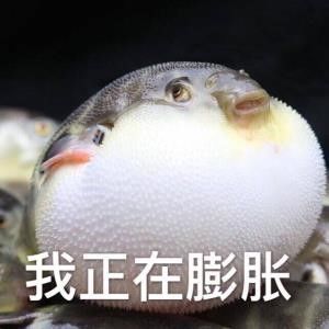 《哈哈哈哈哈！迷失岛2再次入围indieplay最佳设计奖与最佳游戏大奖！》