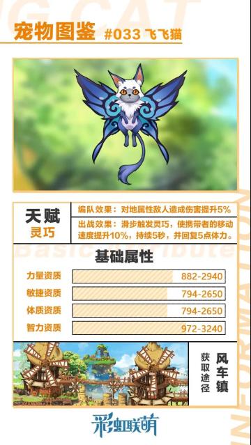 【萌宠图鉴】当蝴蝶遇见猫——飞飞猫