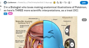 生物专家再公开宝可梦真实版解剖图 精细严谨刻画