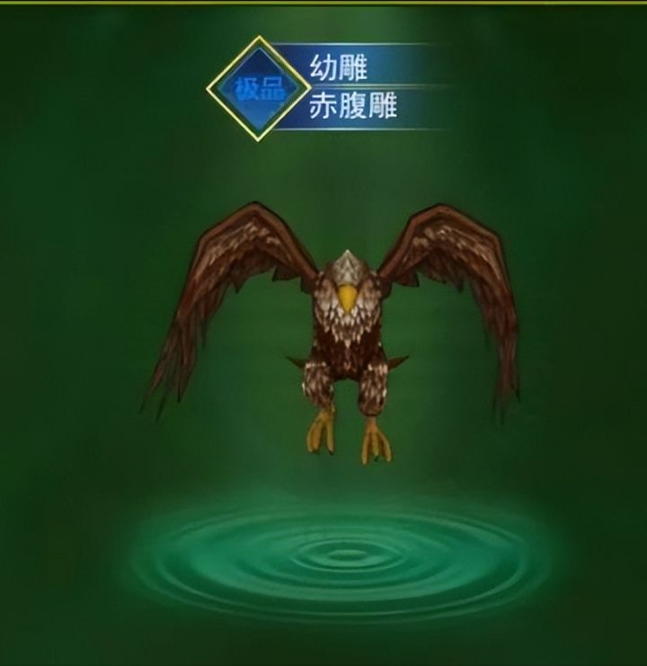 热血江湖手游：医师气功加点大全和灵宠介绍截图