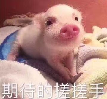 毫无疑问，恋语市就是魔都上海啊！