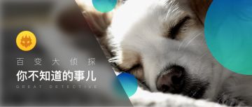 《百变大侦探》你不知道的事儿