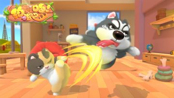 【猫狗小剧场】比心机吗？那你赢了啊