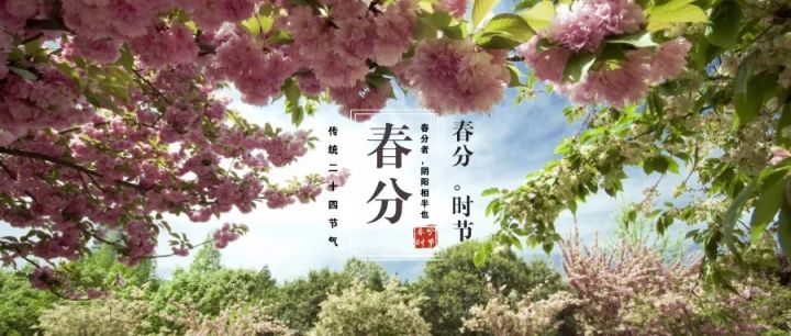 春分,暖!截图