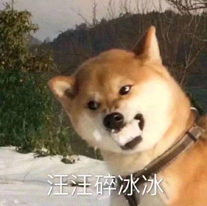 多出几个转基因稻米这样的秘宝多好截图