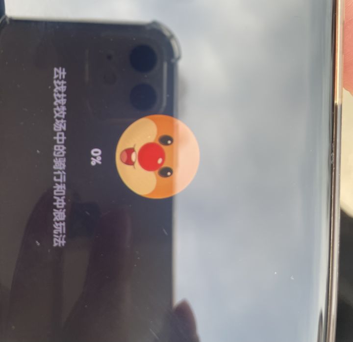 为啥我加载不进去啊截图