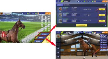 《飞马流星》血脉的延续 基因的遗传