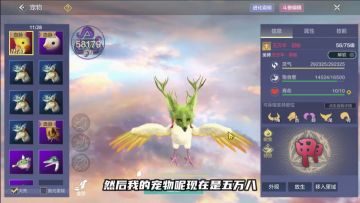 【极限养宠 玄凤相争·续】养成情况大公布！本周六晚8点玄凤决战开启！