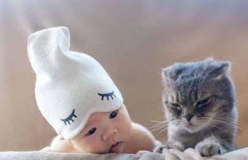 六一礼物别忘了它！在线云养猫gdk？