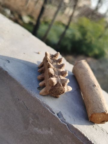 皇室战争四周年快乐