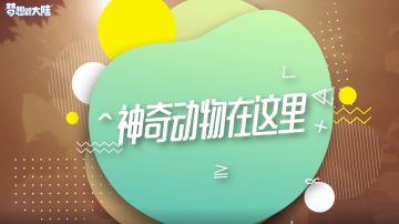 秋天来了，正是动物______的季节