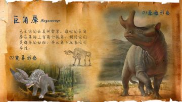 【巨兽研究院】研究报告：巨角犀