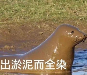 好像马上有大日子要到了，咋办？顺便征集点东西