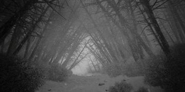 【剧本上架】8.25《雪山招魂》