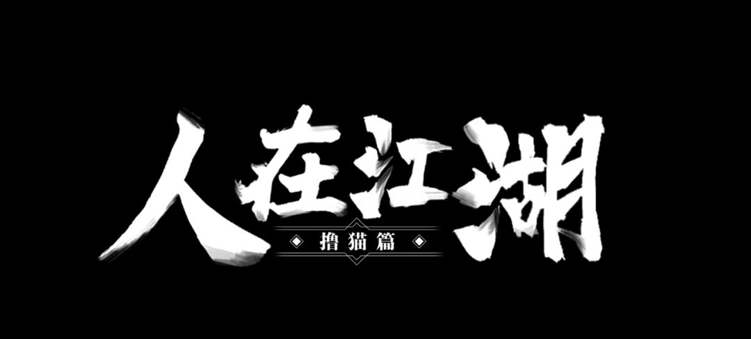 video-2245558