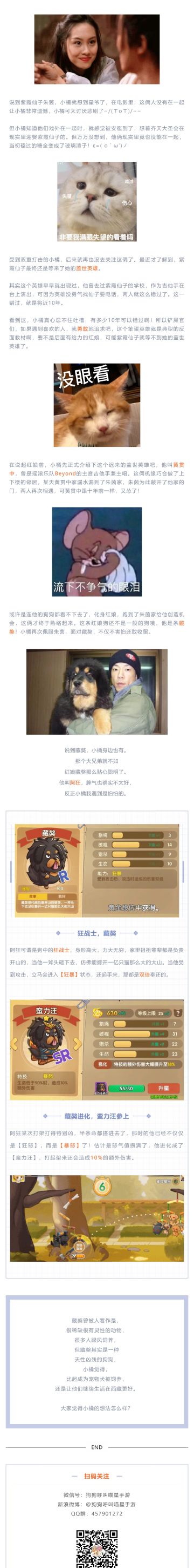 紫霞仙子的狗界红娘