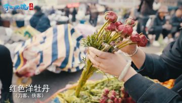 前方99999朵鲜花预警，这不比以爱之名有仪式感？