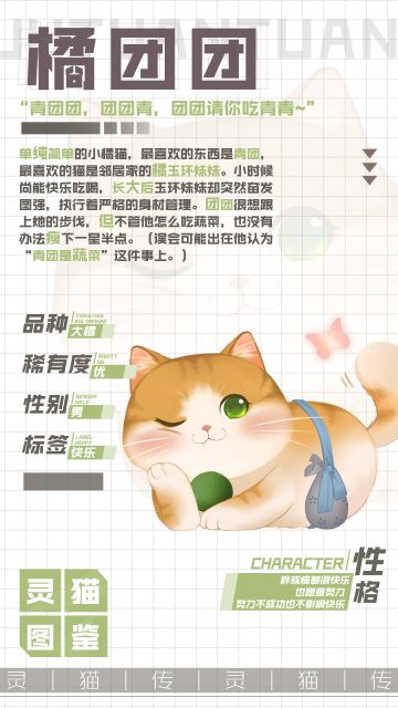【灵猫图鉴】★优★ 每天都有简单的快乐——橘团团！